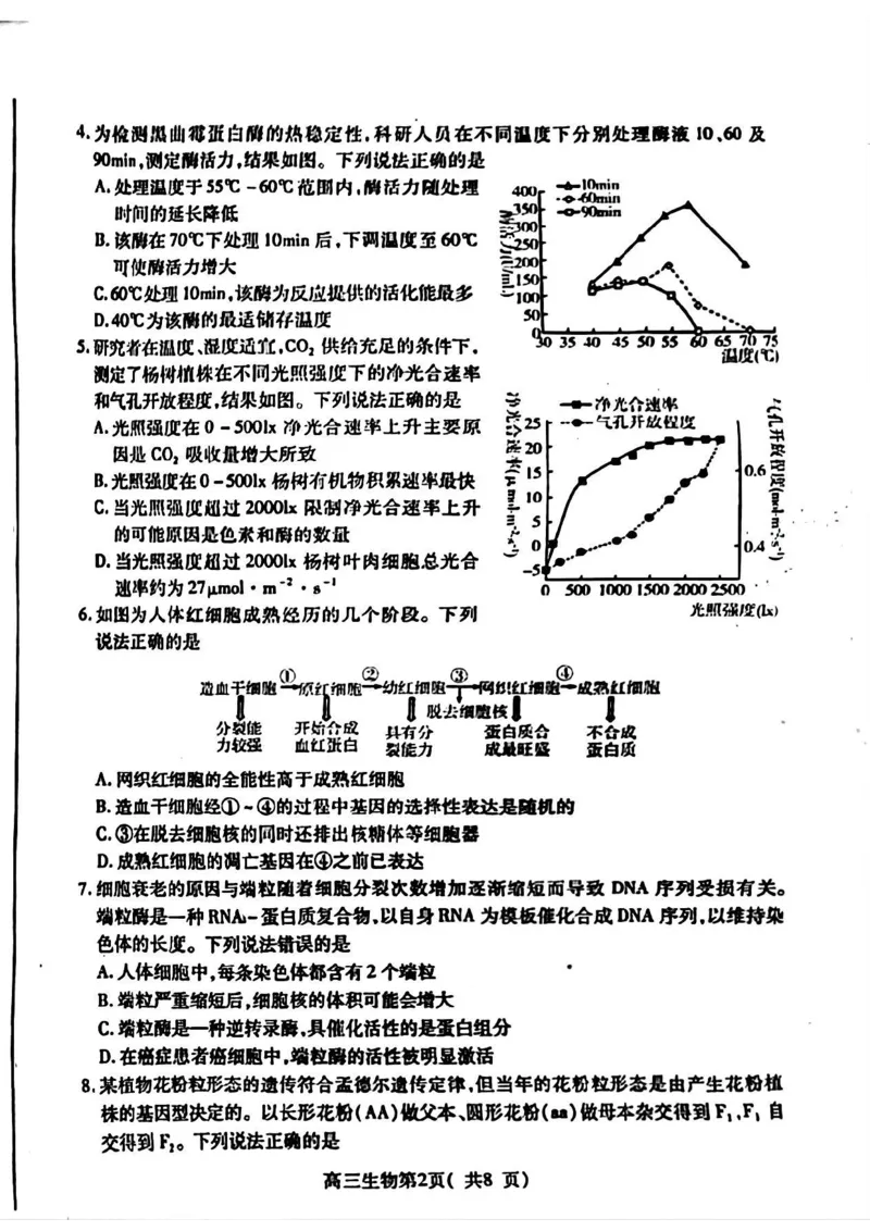 生物试卷_2024-2025高三（6-6月题库）_2024年11月试卷_1111山东省烟台市2025届高三11月期中学业水平检测_山东省烟台市2025届高三11月期中学业水平检测生物