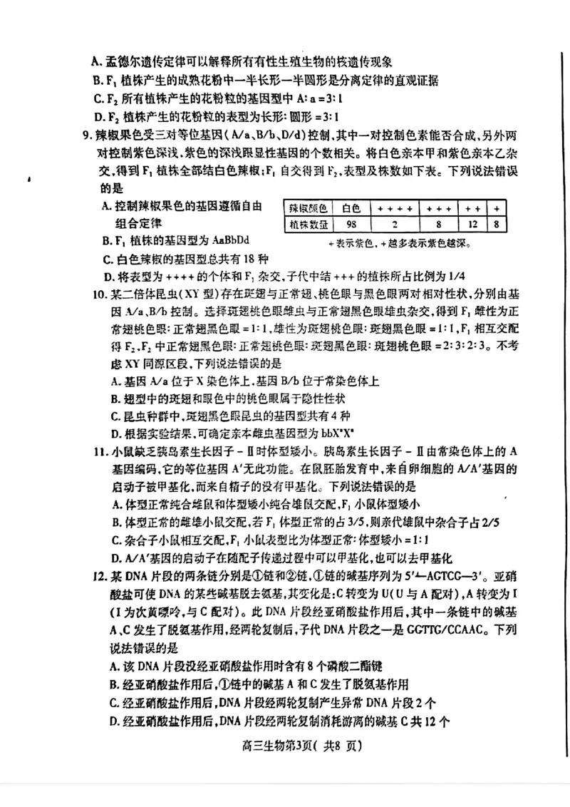 生物试卷_2024-2025高三（6-6月题库）_2024年11月试卷_1111山东省烟台市2025届高三11月期中学业水平检测_山东省烟台市2025届高三11月期中学业水平检测生物