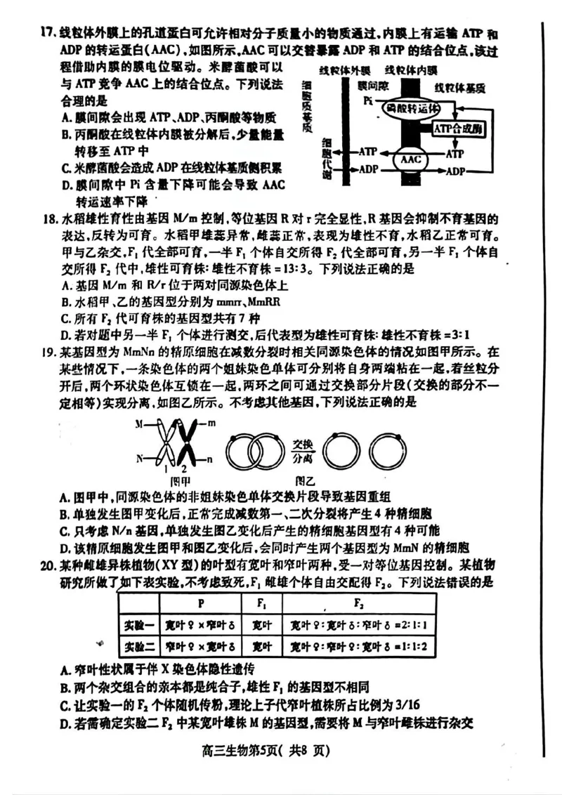 生物试卷_2024-2025高三（6-6月题库）_2024年11月试卷_1111山东省烟台市2025届高三11月期中学业水平检测_山东省烟台市2025届高三11月期中学业水平检测生物
