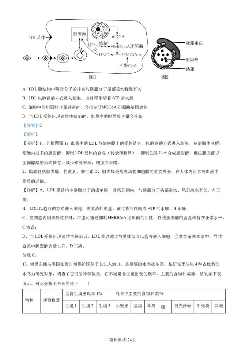 精品解析：重庆市巴蜀中学校2023-2024学年高二下学期7月期末考试生物试题（解析版）_2024-2025高三（6-6月题库）_2024年07月试卷_240715重庆市巴蜀中学2023-2024学年高二下学期期末