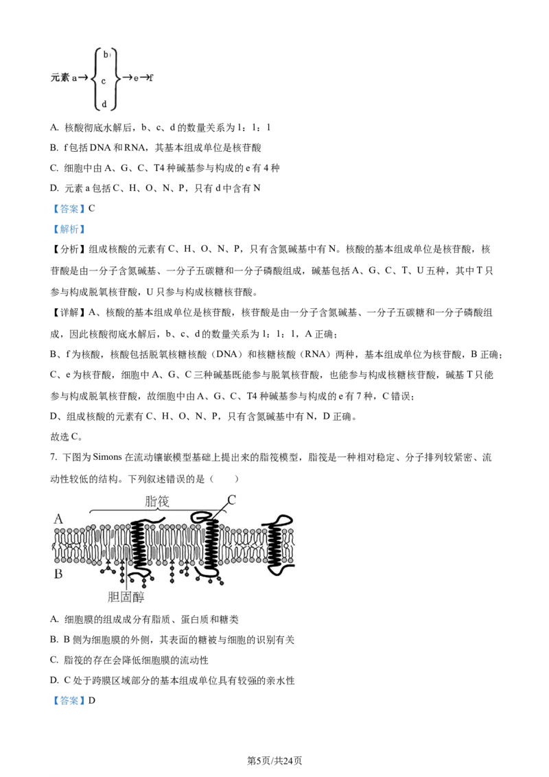 精品解析：重庆市巴蜀中学校2023-2024学年高二下学期7月期末考试生物试题（解析版）_2024-2025高三（6-6月题库）_2024年07月试卷_240715重庆市巴蜀中学2023-2024学年高二下学期期末