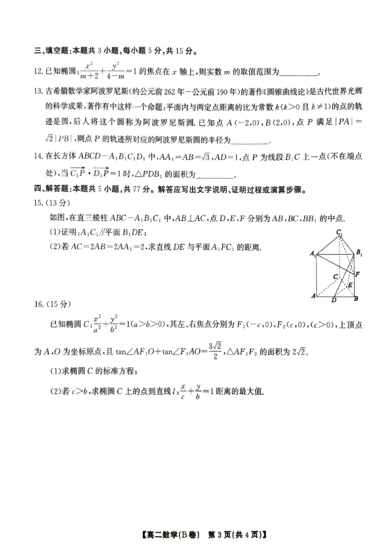 鼎尖教育11月高二期中考试--数学B卷_2024-2025高二（7-7月题库）_2024年12月试卷_1206安徽省黄山市鼎尖教育八校联考2024-2025学年高二上学期11月期中考试