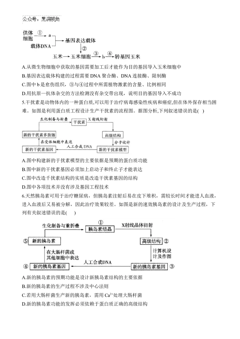 （24）基因工程与细胞工程&mdash;&mdash;2025届高考生物二轮复习易错重难提升学案（含解析）_2024-2025高三（6-6月题库）_2025年02月试卷_02162025届高考生物二轮复习易错重难提升（含解析）