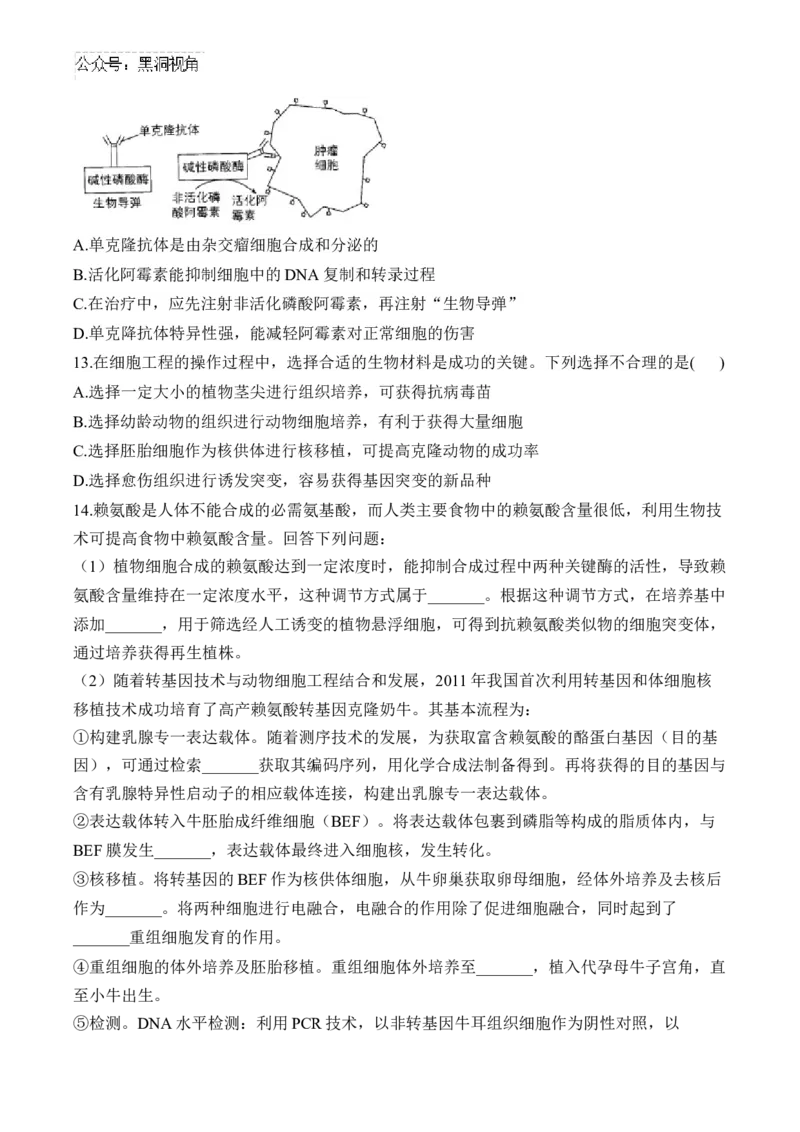 （24）基因工程与细胞工程&mdash;&mdash;2025届高考生物二轮复习易错重难提升学案（含解析）_2024-2025高三（6-6月题库）_2025年02月试卷_02162025届高考生物二轮复习易错重难提升（含解析）