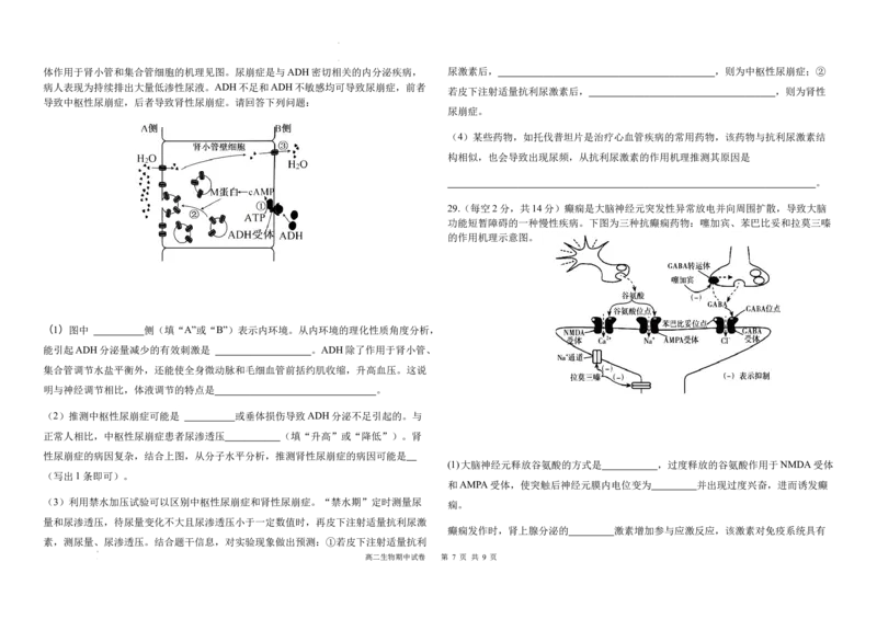 福建省福州市福九联盟2025-2026学年高二上学期11月期中联考生物试题含答案_2025年11月高二试卷_251117福建省福州市福九联盟2025-2026学年高二上学期11月期中考试（全）