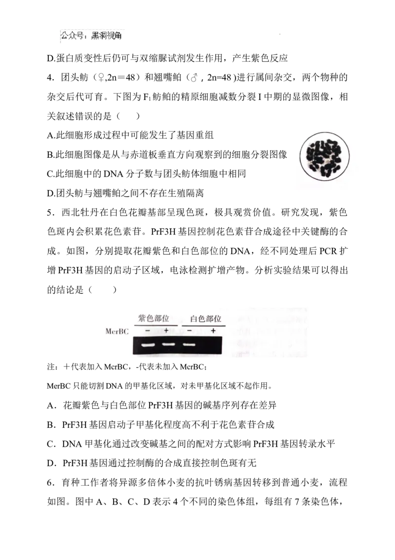 山西省长治市2024-2025学年高三上学期9月质量监测生物试题_2024-2026高三（6-6月题库）_2024年09月试卷_09232025山西三重教育高三9月质量检测（长治市高三9月质量监测）