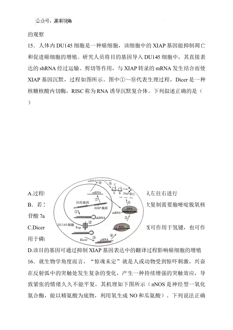 山西省长治市2024-2025学年高三上学期9月质量监测生物试题_2024-2026高三（6-6月题库）_2024年09月试卷_09232025山西三重教育高三9月质量检测（长治市高三9月质量监测）