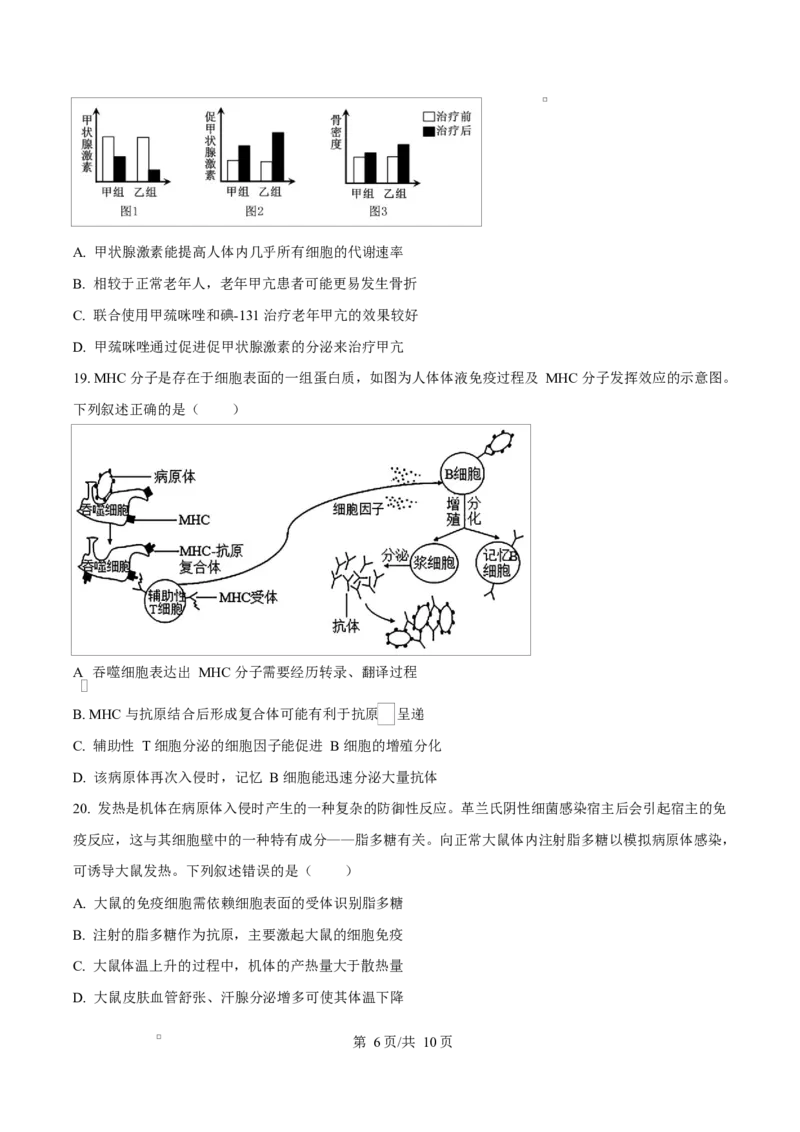黑龙江省齐齐哈尔市六校联谊2025-2026学年高二上学期11月期中生物试题Word版无答案_2025年11月高二试卷_251113黑龙江省齐齐哈尔六校联谊2025-2026学年高二上学期11月期中考试（全）