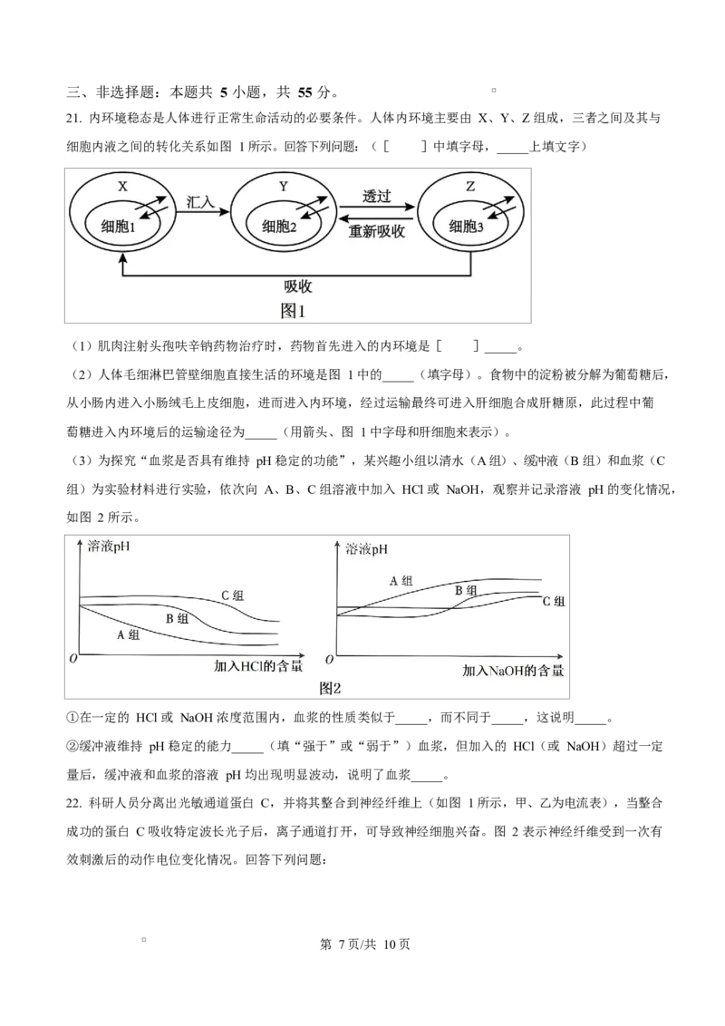 黑龙江省齐齐哈尔市六校联谊2025-2026学年高二上学期11月期中生物试题Word版无答案_2025年11月高二试卷_251113黑龙江省齐齐哈尔六校联谊2025-2026学年高二上学期11月期中考试（全）