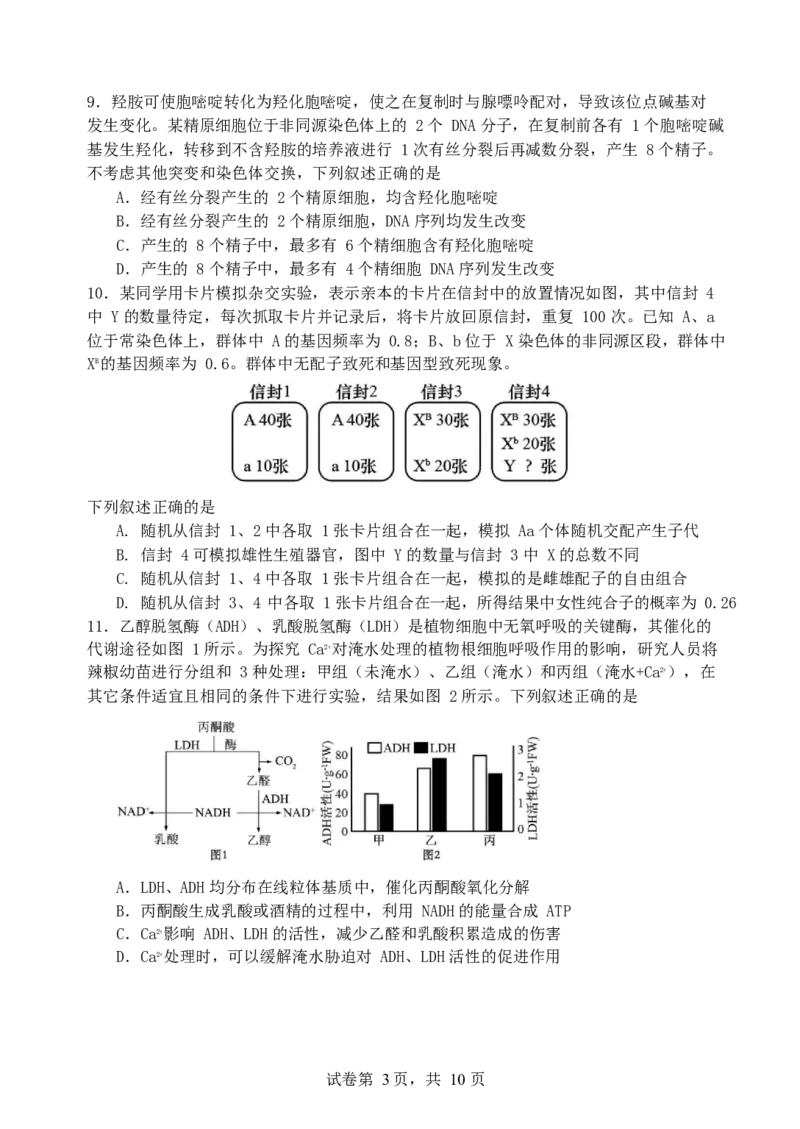福建省厦门第一中学2024-2025学年高三12月月考生物+答案_2024-2025高三（6-6月题库）_2024年12月试卷_1227福建省厦门第一中学2024-2025学年高三12月月考（全科）