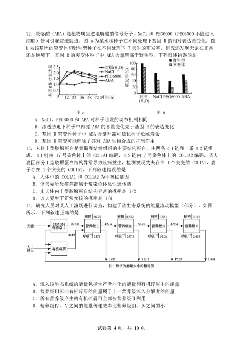 福建省厦门第一中学2024-2025学年高三12月月考生物+答案_2024-2025高三（6-6月题库）_2024年12月试卷_1227福建省厦门第一中学2024-2025学年高三12月月考（全科）