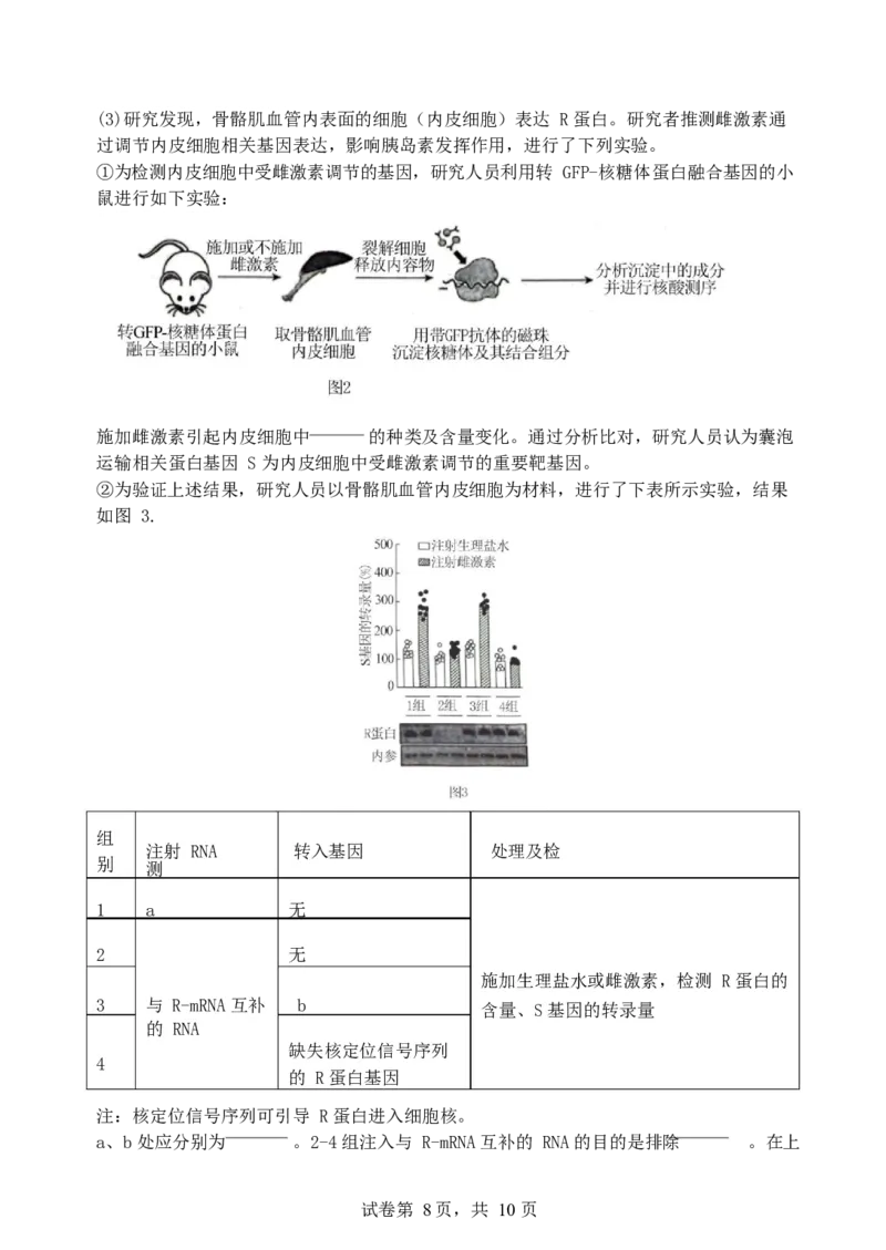 福建省厦门第一中学2024-2025学年高三12月月考生物+答案_2024-2025高三（6-6月题库）_2024年12月试卷_1227福建省厦门第一中学2024-2025学年高三12月月考（全科）