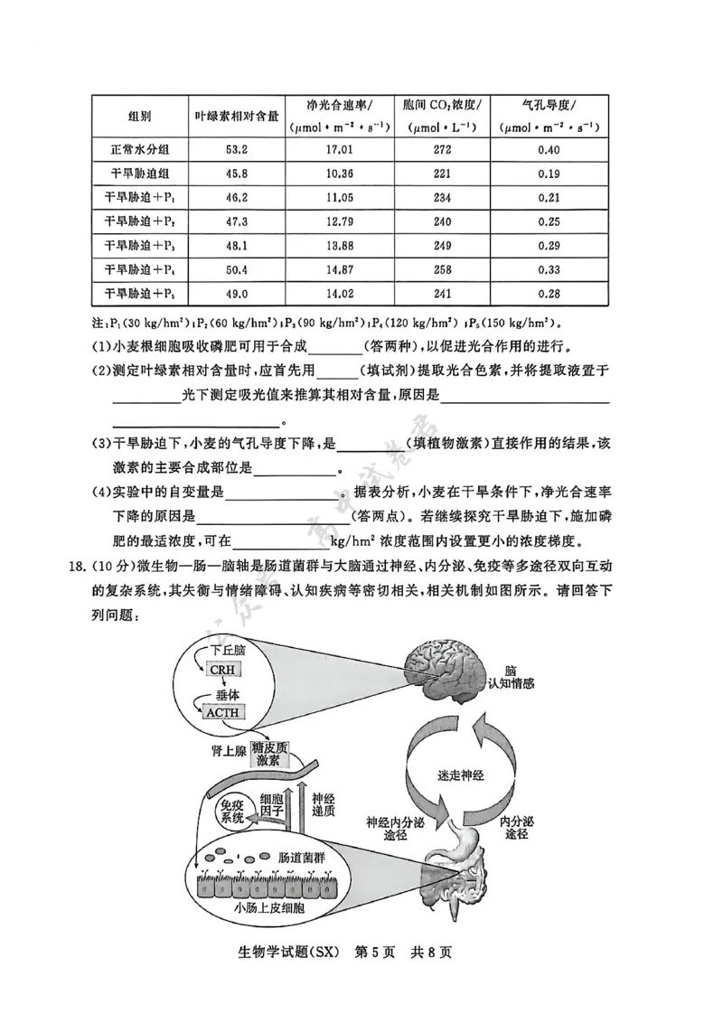 T8生物试题_2024-2026高三（6-6月题库）_2025年12月高三试卷_2512252026届高三第一次八省联考（T8联考）（全科）_251225山西省2026届高三第一次八省联考（T8联考）（全科）