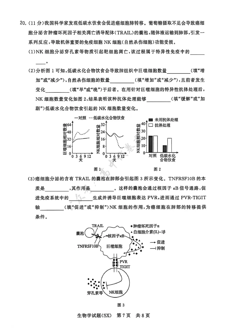 T8生物试题_2024-2026高三（6-6月题库）_2025年12月高三试卷_2512252026届高三第一次八省联考（T8联考）（全科）_251225山西省2026届高三第一次八省联考（T8联考）（全科）