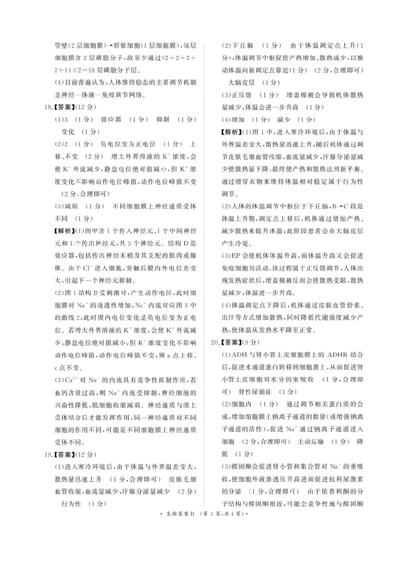河南青铜鸣大联考2025-2026学年上学期高二期中考试生物（B）试题含答案_2025年11月高二试卷_251127河南青铜鸣大联考2025-2026学年上学期高二期中考试