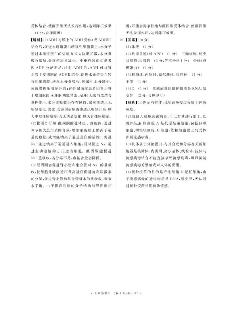 河南青铜鸣大联考2025-2026学年上学期高二期中考试生物（B）试题含答案_2025年11月高二试卷_251127河南青铜鸣大联考2025-2026学年上学期高二期中考试