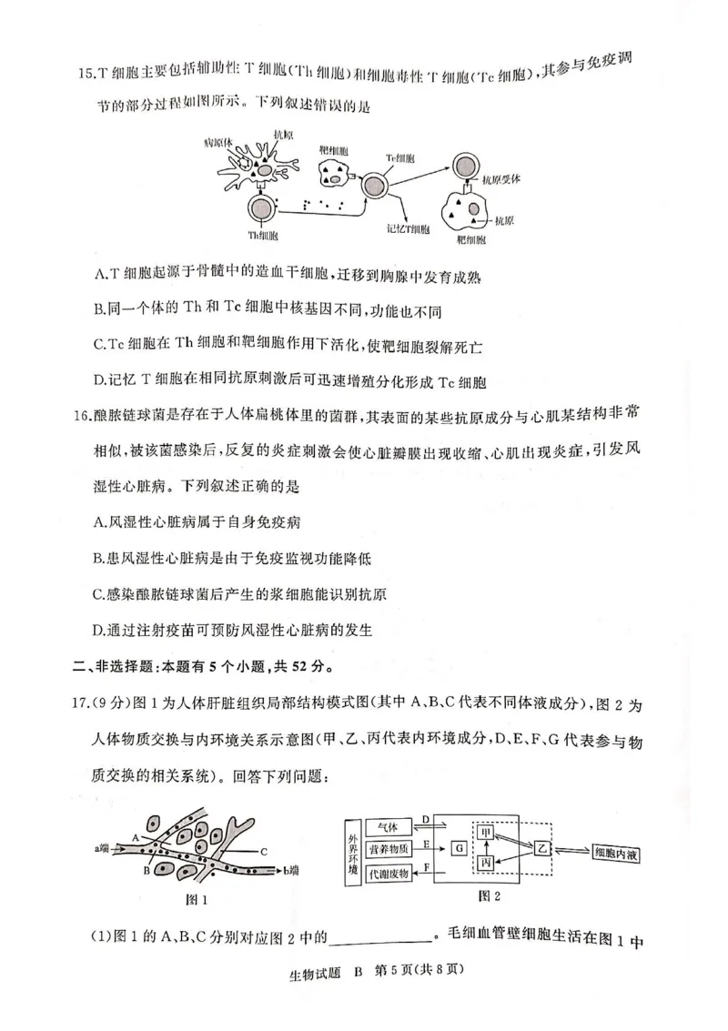 河南青铜鸣大联考2025-2026学年上学期高二期中考试生物（B）试题含答案_2025年11月高二试卷_251127河南青铜鸣大联考2025-2026学年上学期高二期中考试