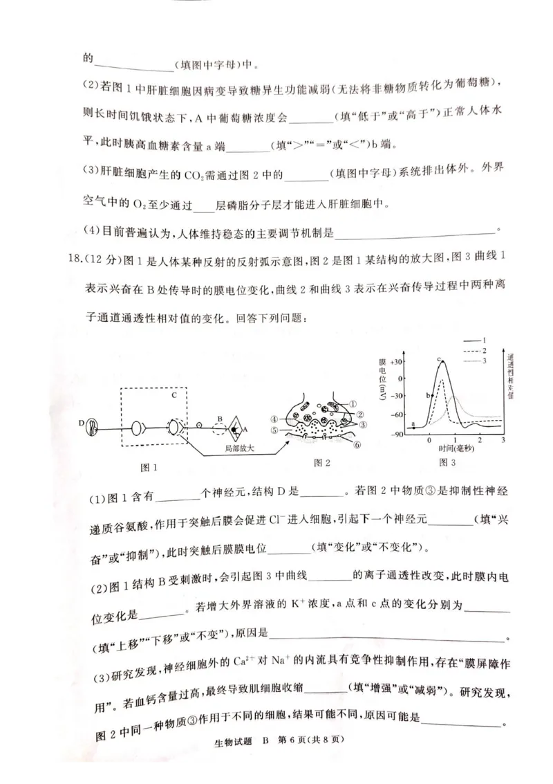 河南青铜鸣大联考2025-2026学年上学期高二期中考试生物（B）试题含答案_2025年11月高二试卷_251127河南青铜鸣大联考2025-2026学年上学期高二期中考试