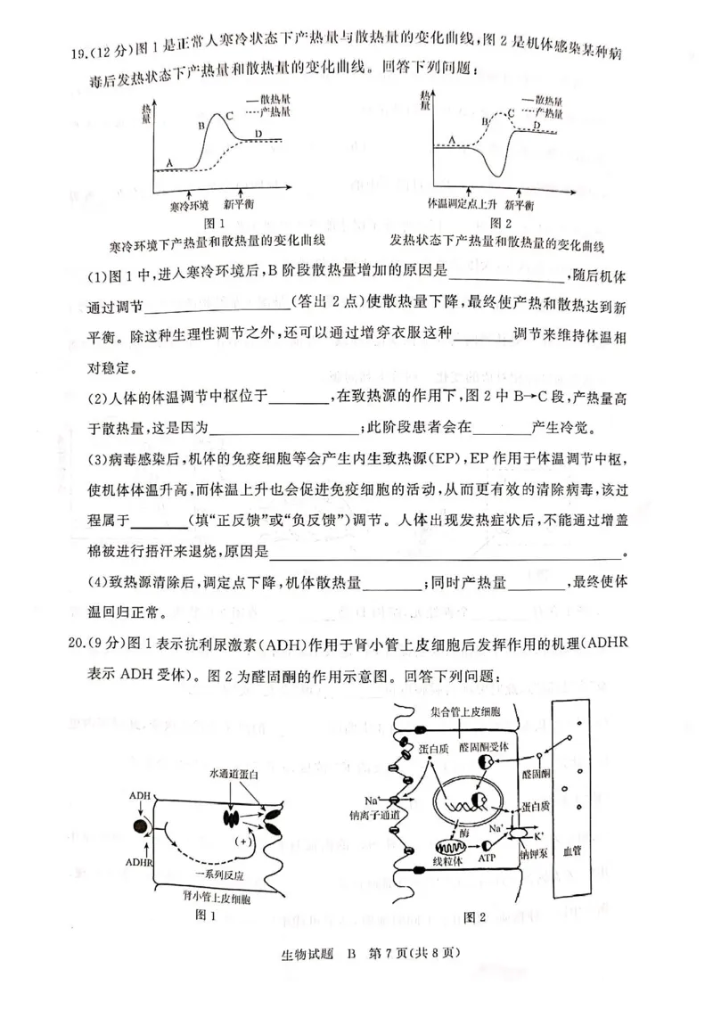 河南青铜鸣大联考2025-2026学年上学期高二期中考试生物（B）试题含答案_2025年11月高二试卷_251127河南青铜鸣大联考2025-2026学年上学期高二期中考试