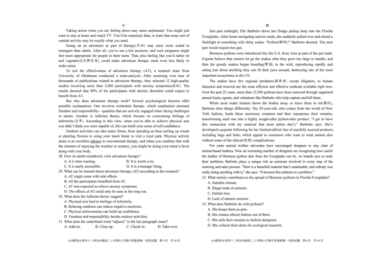英语A10联盟＆宿州十三校2024级高二上学期11月期中质量检测英语_2025年11月高二试卷_251124安徽省A10联盟＆宿州十三校2024级高二上学期11月期中质量检测（全）