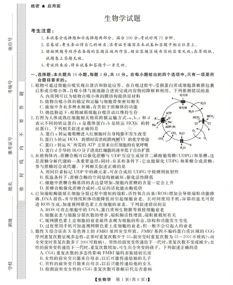 高三生物试题(已优化)_2024-2026高三（6-6月题库）_2025年12月高三试卷_251225三重教育2025-2026学年高三西北四省12月高考适应性考试（全科）