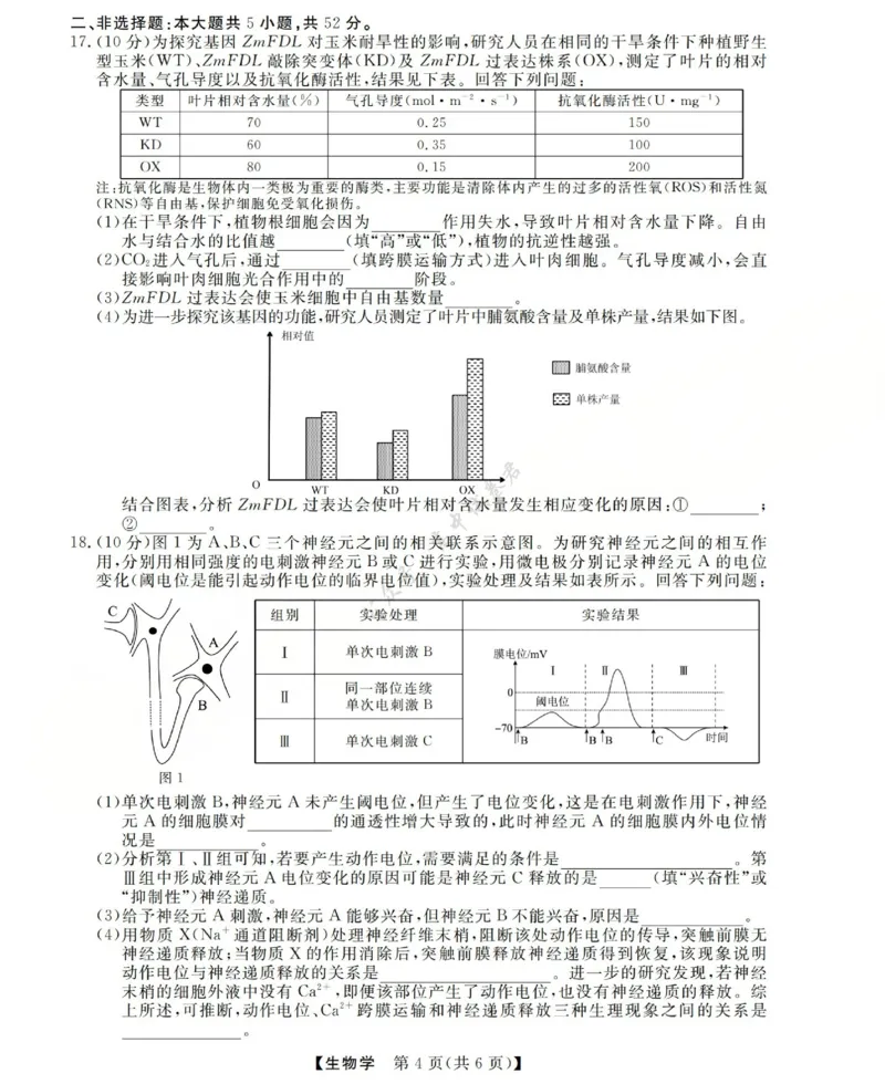 高三生物试题(已优化)_2024-2026高三（6-6月题库）_2025年12月高三试卷_251225三重教育2025-2026学年高三西北四省12月高考适应性考试（全科）
