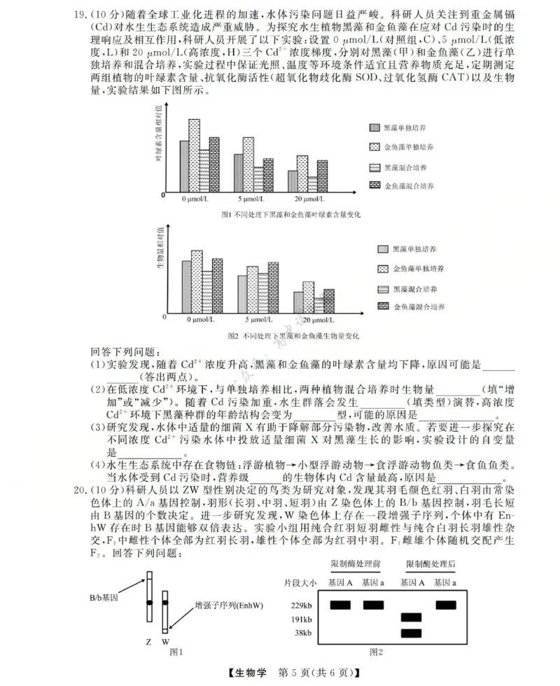 高三生物试题(已优化)_2024-2026高三（6-6月题库）_2025年12月高三试卷_251225三重教育2025-2026学年高三西北四省12月高考适应性考试（全科）