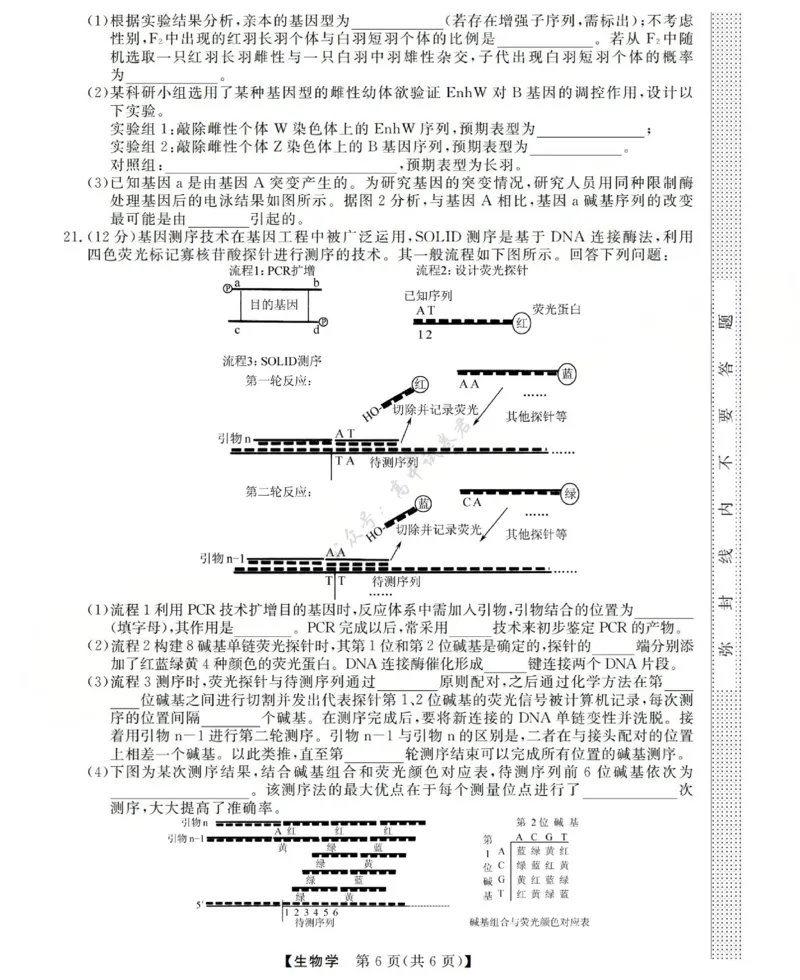 高三生物试题(已优化)_2024-2026高三（6-6月题库）_2025年12月高三试卷_251225三重教育2025-2026学年高三西北四省12月高考适应性考试（全科）