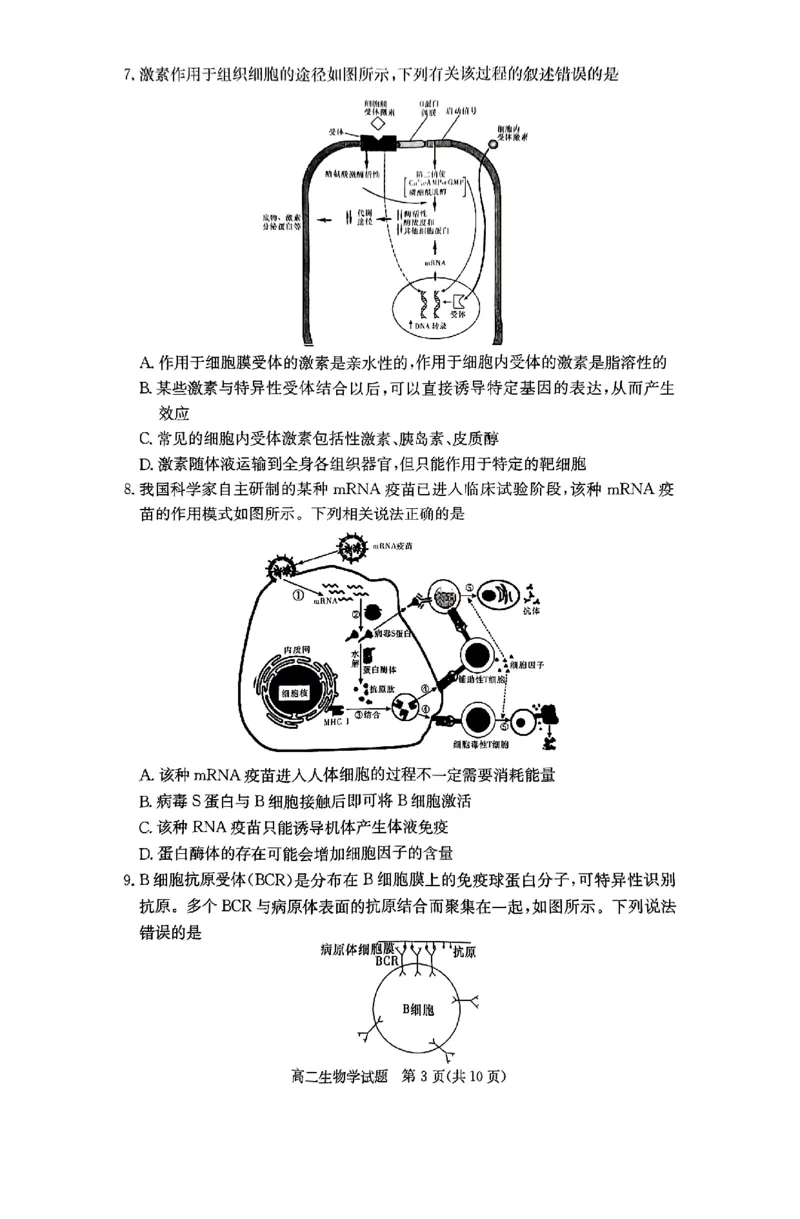 生物试题_2024-2025高二（7-7月题库）_2024年12月试卷_1213湖南长郡中学等十八校联盟2024年高二12月第三次月考_湖南省名校2024-2025学年高二上学期12月检测生物试题