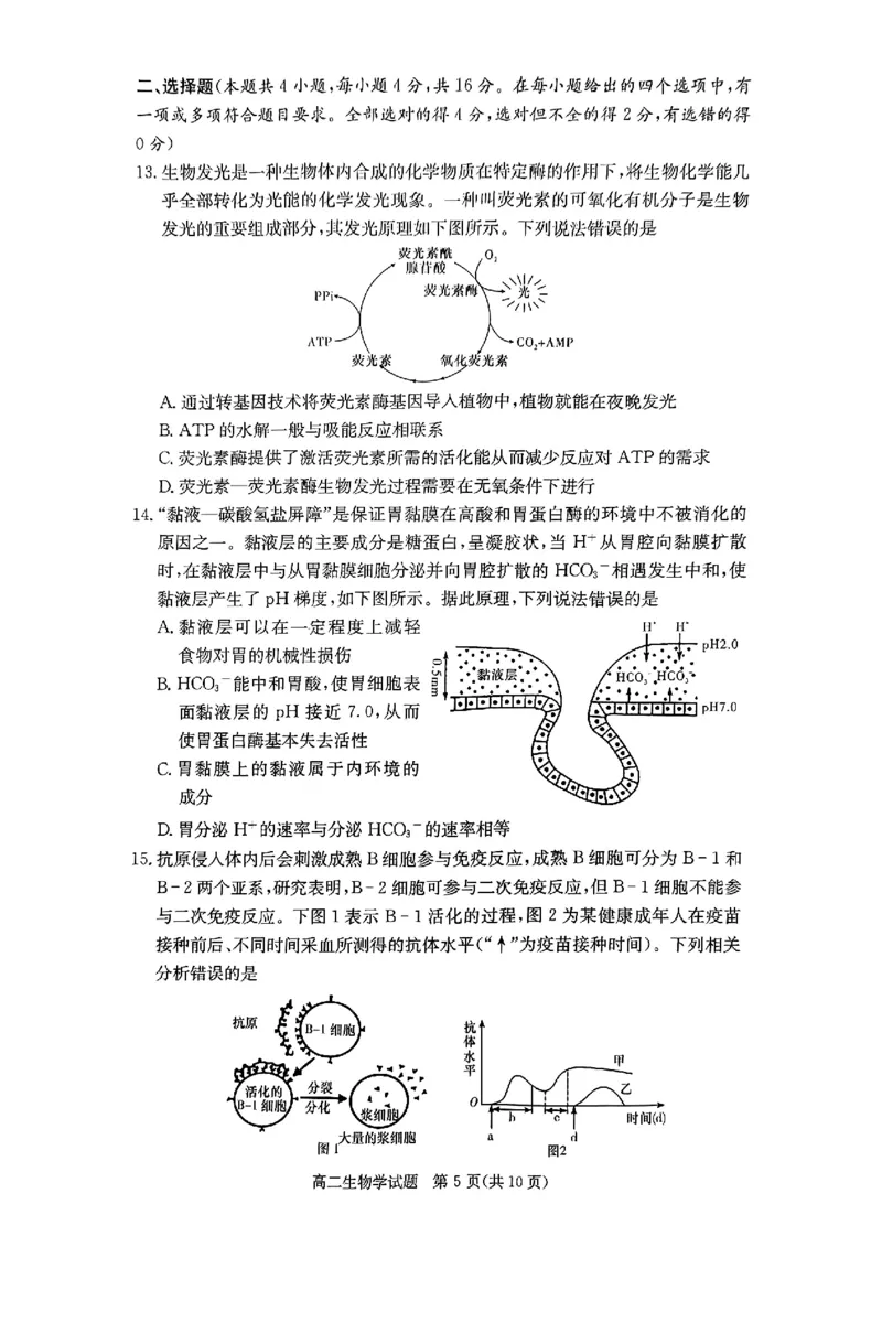 生物试题_2024-2025高二（7-7月题库）_2024年12月试卷_1213湖南长郡中学等十八校联盟2024年高二12月第三次月考_湖南省名校2024-2025学年高二上学期12月检测生物试题