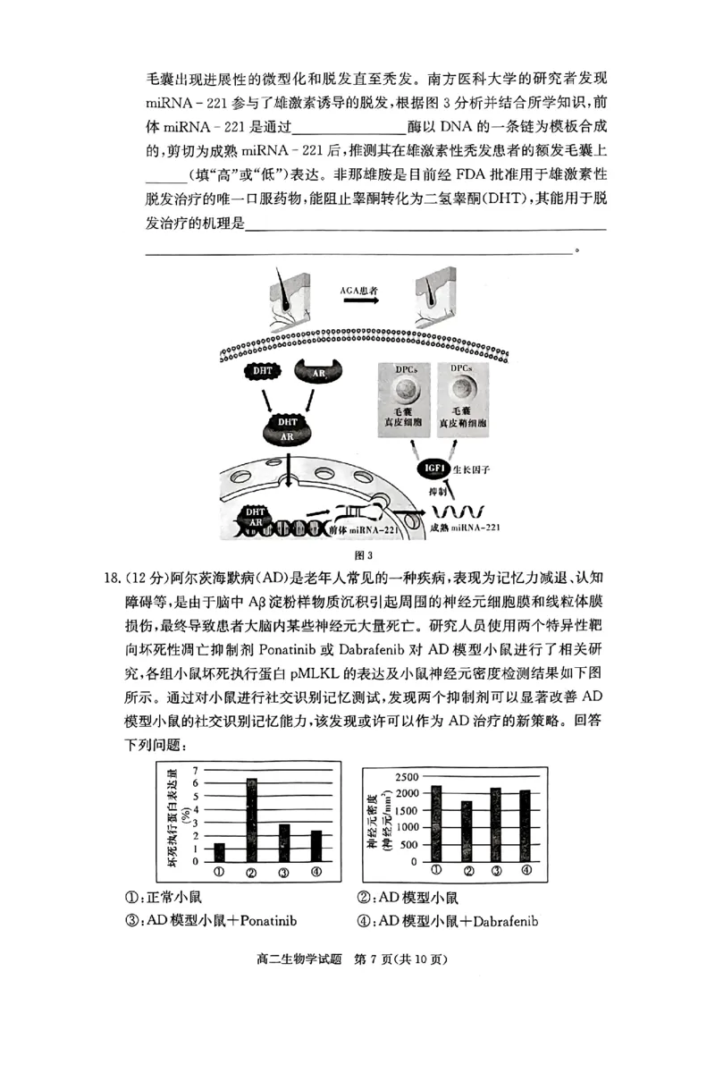 生物试题_2024-2025高二（7-7月题库）_2024年12月试卷_1213湖南长郡中学等十八校联盟2024年高二12月第三次月考_湖南省名校2024-2025学年高二上学期12月检测生物试题
