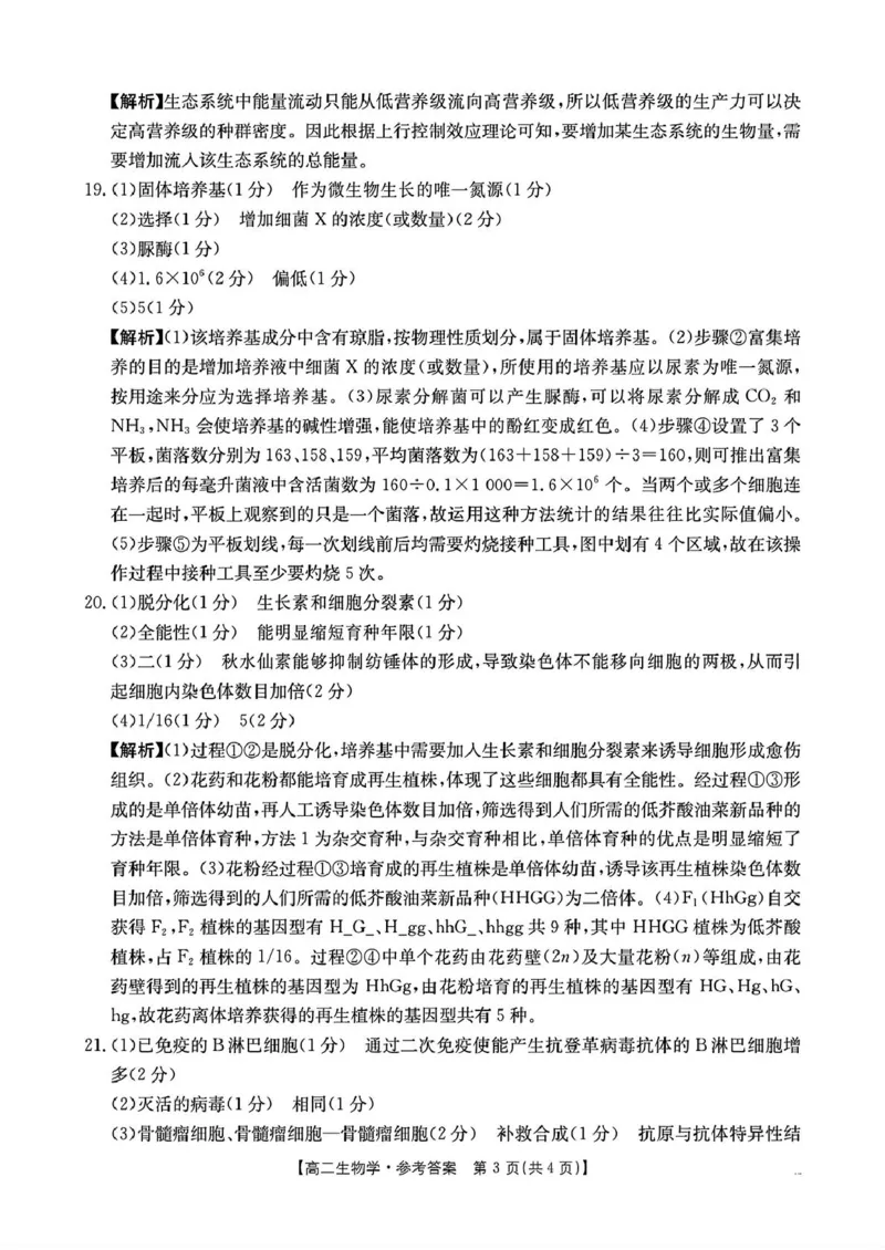 解析_2024-2025高二（7-7月题库）_2025年03月试卷_0325河南省洛阳市创新发展联盟2024-2025学年高二下学期第一次月考