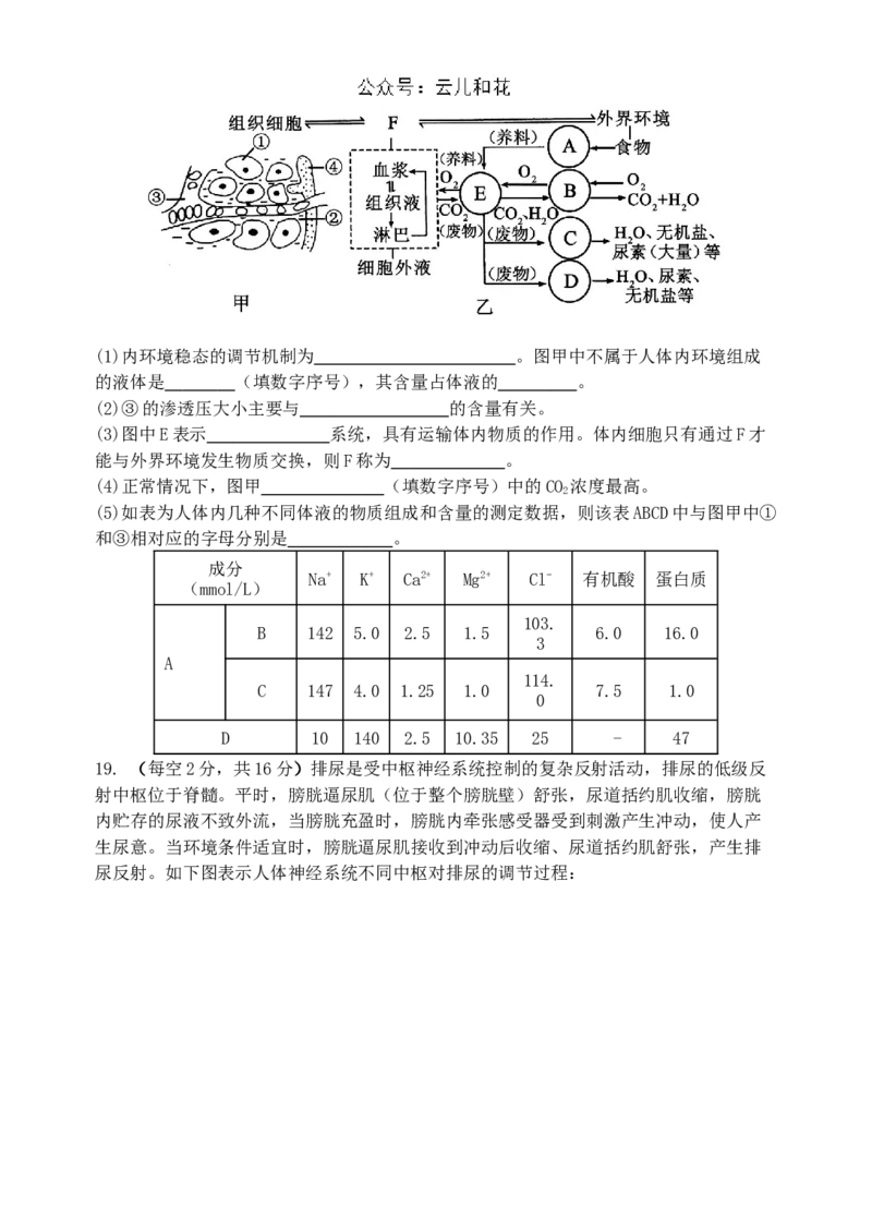 甘肃省兰州第一中学2024-2025学年高二上学期10月月考试题生物Word版含答案_2024-2025高二（7-7月题库）_2024年10月试卷_1030甘肃省兰州第一中学2024-2025学年高二上学期10月月考