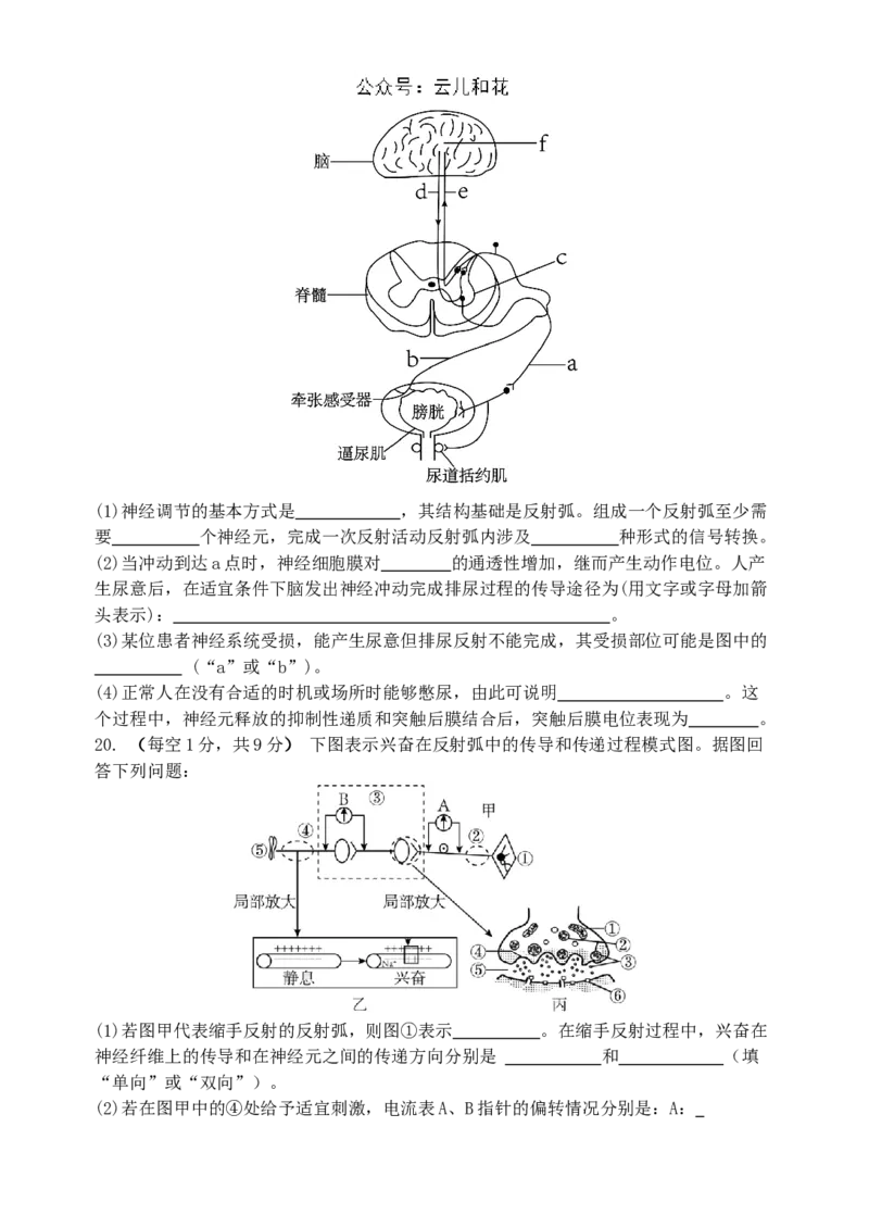 甘肃省兰州第一中学2024-2025学年高二上学期10月月考试题生物Word版含答案_2024-2025高二（7-7月题库）_2024年10月试卷_1030甘肃省兰州第一中学2024-2025学年高二上学期10月月考