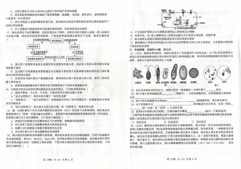 生物_2024-2025高二（7-7月题库）_2024年07月试卷_0721辽宁省协作体2023-2024学年高二下学期7月期末考试_辽宁省协作体2023-2024学年高二下学期7月期末考试生物