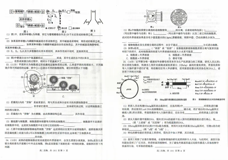 生物_2024-2025高二（7-7月题库）_2024年07月试卷_0721辽宁省协作体2023-2024学年高二下学期7月期末考试_辽宁省协作体2023-2024学年高二下学期7月期末考试生物