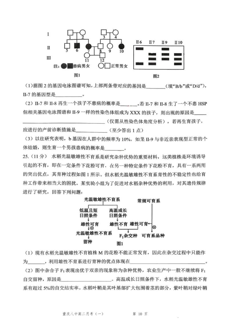 重庆八中高2027届高二（上）第一次月考生物试卷（含答案）_2025年10月高二试卷_251009重庆八中高2027届高二（上）第一次月考试卷（全）