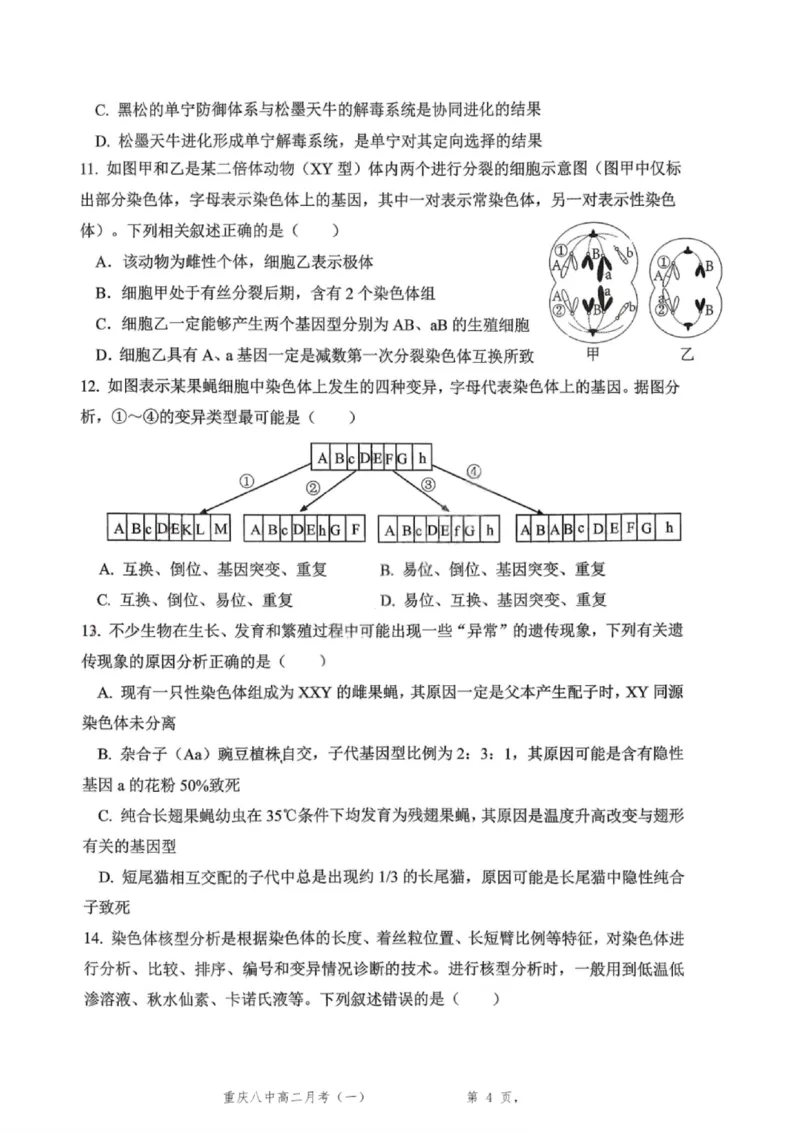 重庆八中高2027届高二（上）第一次月考生物试卷（含答案）_2025年10月高二试卷_251009重庆八中高2027届高二（上）第一次月考试卷（全）