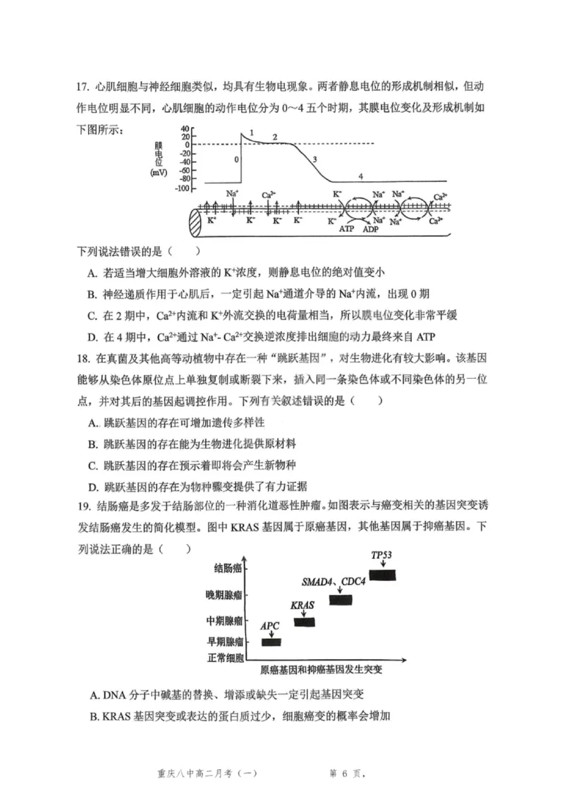 重庆八中高2027届高二（上）第一次月考生物试卷（含答案）_2025年10月高二试卷_251009重庆八中高2027届高二（上）第一次月考试卷（全）