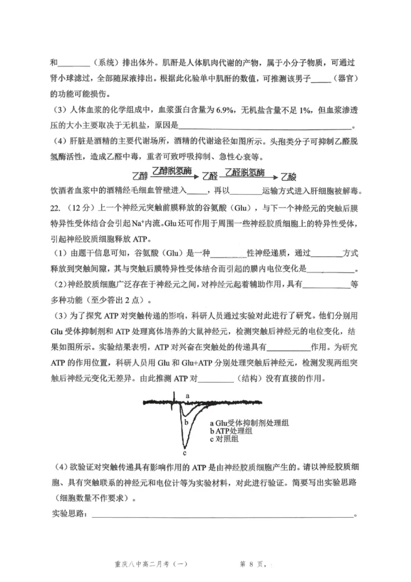 重庆八中高2027届高二（上）第一次月考生物试卷（含答案）_2025年10月高二试卷_251009重庆八中高2027届高二（上）第一次月考试卷（全）