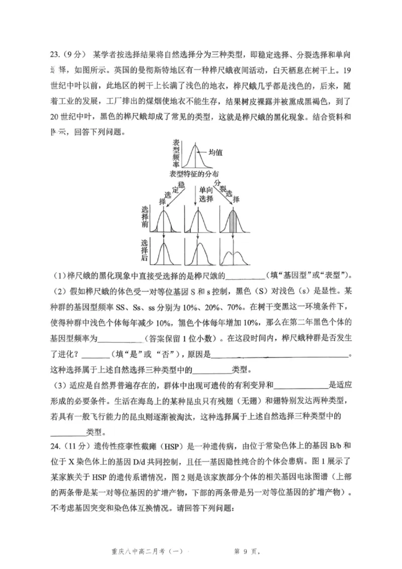 重庆八中高2027届高二（上）第一次月考生物试卷（含答案）_2025年10月高二试卷_251009重庆八中高2027届高二（上）第一次月考试卷（全）