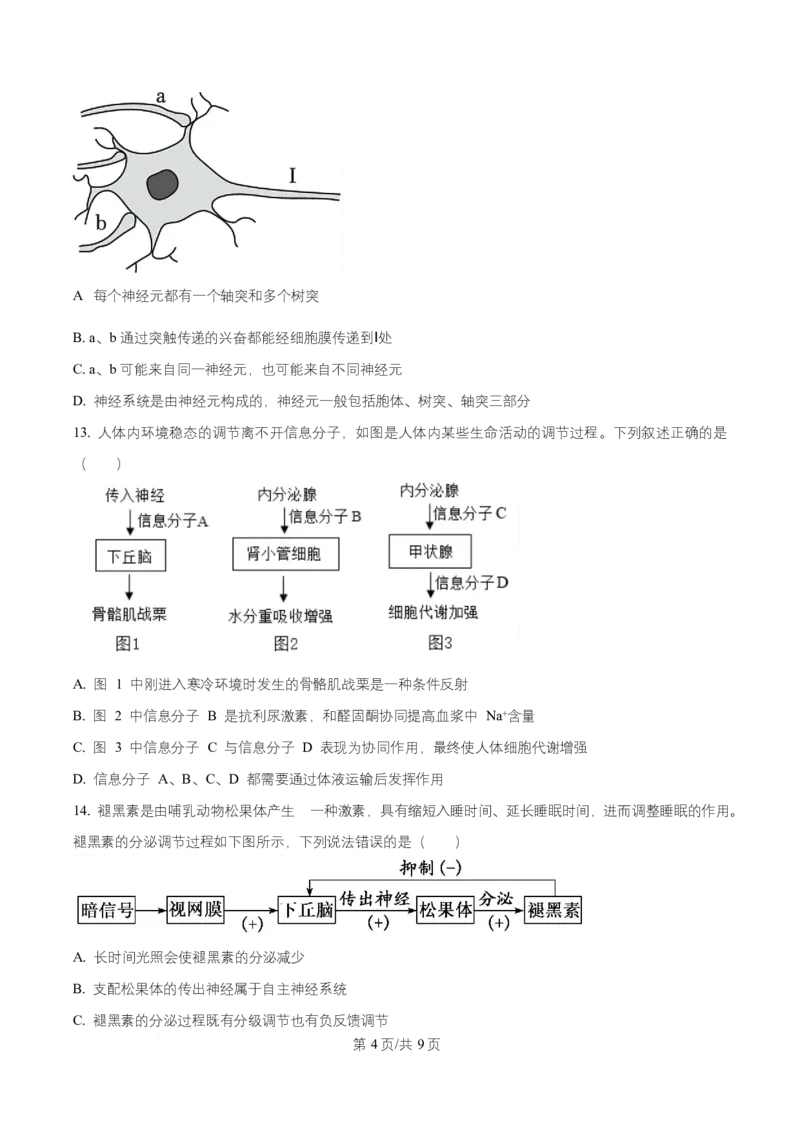 湖北省武汉市部分重点中学2025-2026学年高二上学期10月检测生物试卷（原卷版）_2025年10月高二试卷_251022湖北省武汉市部分重点中学2025-2026学年高二上学期10月月考试题