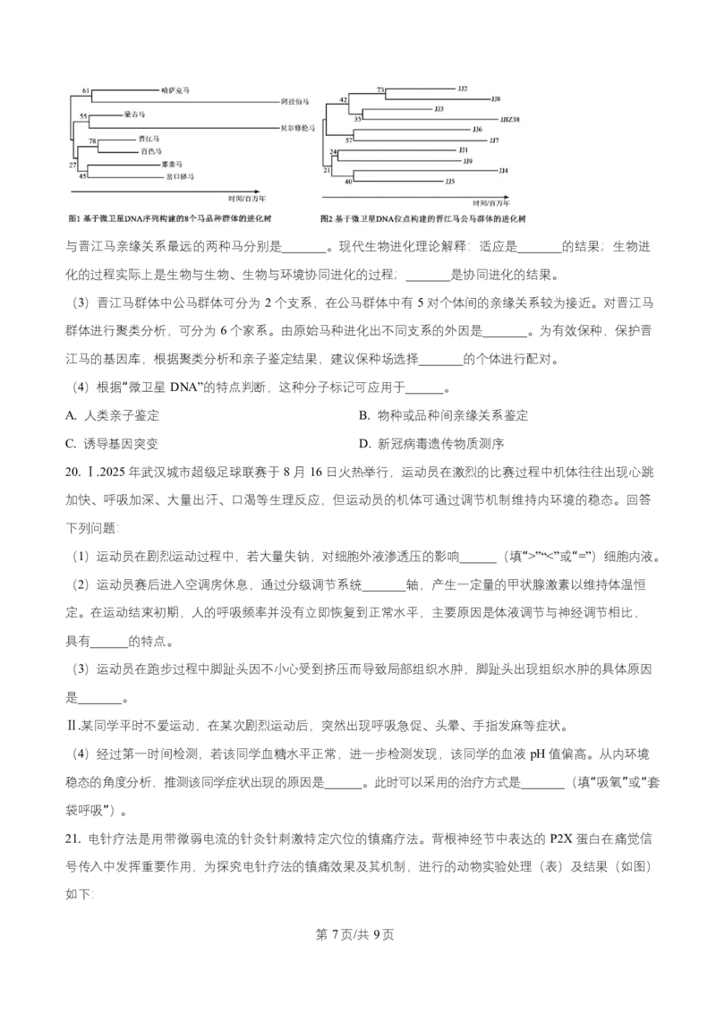 湖北省武汉市部分重点中学2025-2026学年高二上学期10月检测生物试卷（原卷版）_2025年10月高二试卷_251022湖北省武汉市部分重点中学2025-2026学年高二上学期10月月考试题