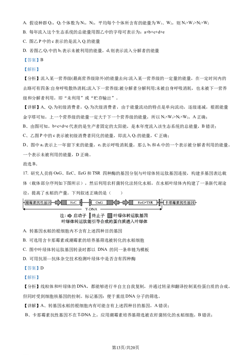 精品解析：湖北省荆州市沙市区湖北省沙市中学2023-2024学年高三下学期7月月考生物试题（解析版）_2024-2025高三（6-6月题库）_2024年08月试卷