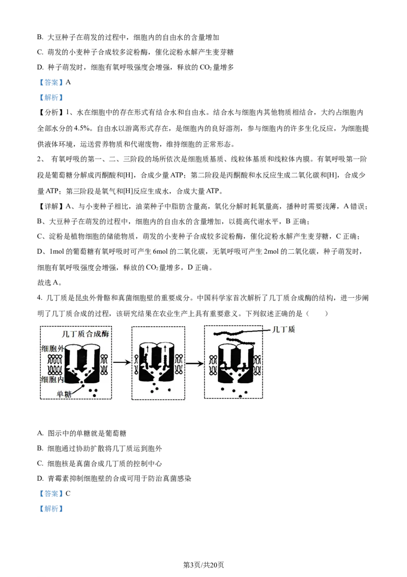 精品解析：湖北省荆州市沙市区湖北省沙市中学2023-2024学年高三下学期7月月考生物试题（解析版）_2024-2025高三（6-6月题库）_2024年08月试卷