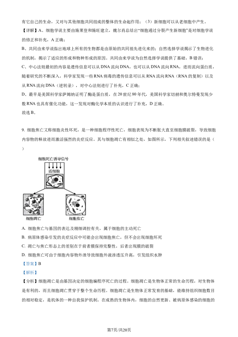 精品解析：湖北省荆州市沙市区湖北省沙市中学2023-2024学年高三下学期7月月考生物试题（解析版）_2024-2025高三（6-6月题库）_2024年08月试卷