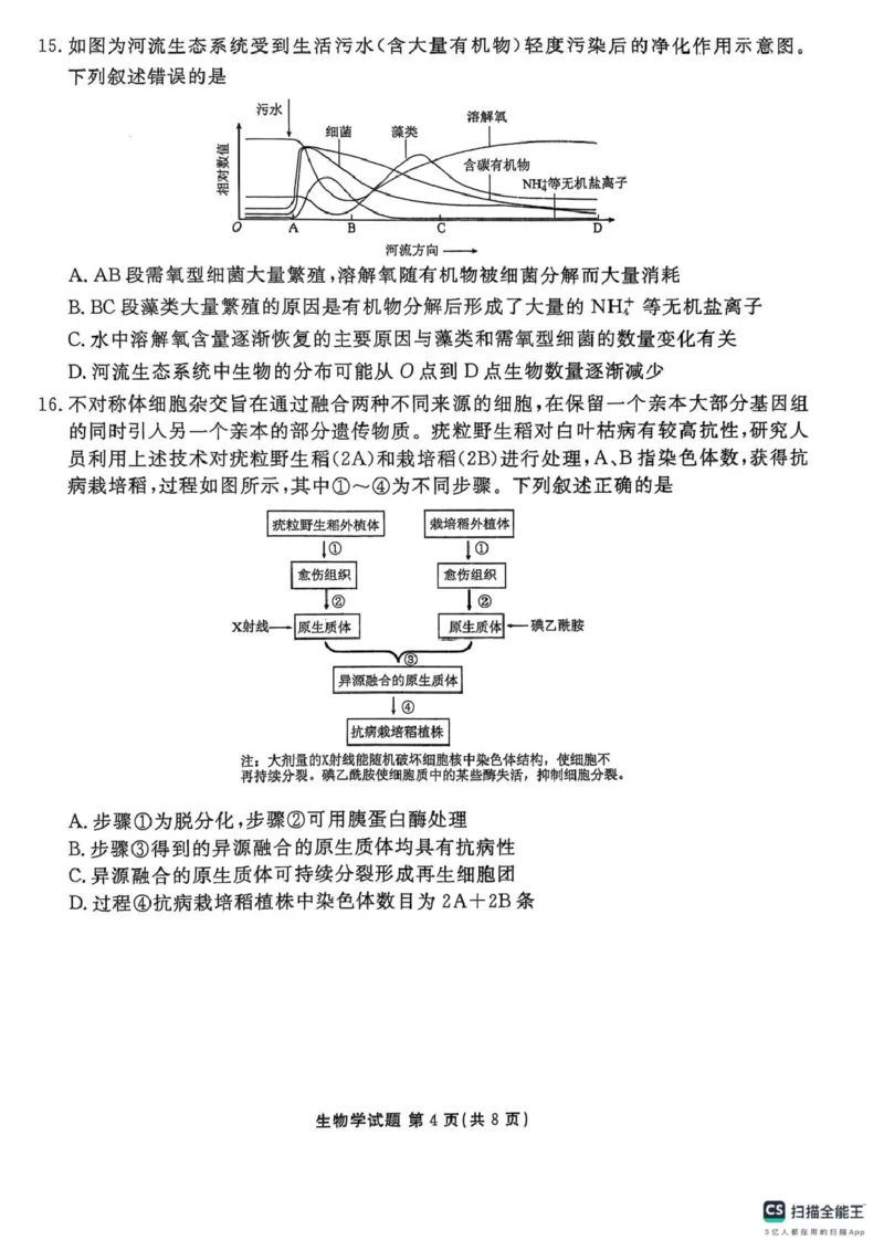 陕西省安康市2024-2025学年高二下学期期中联考生物试卷（扫描版有解析）_2024-2025高二（7-7月题库）_2025年05月试卷_0511陕西省安康市2024-2025学年高二下学期4月期中联考试题