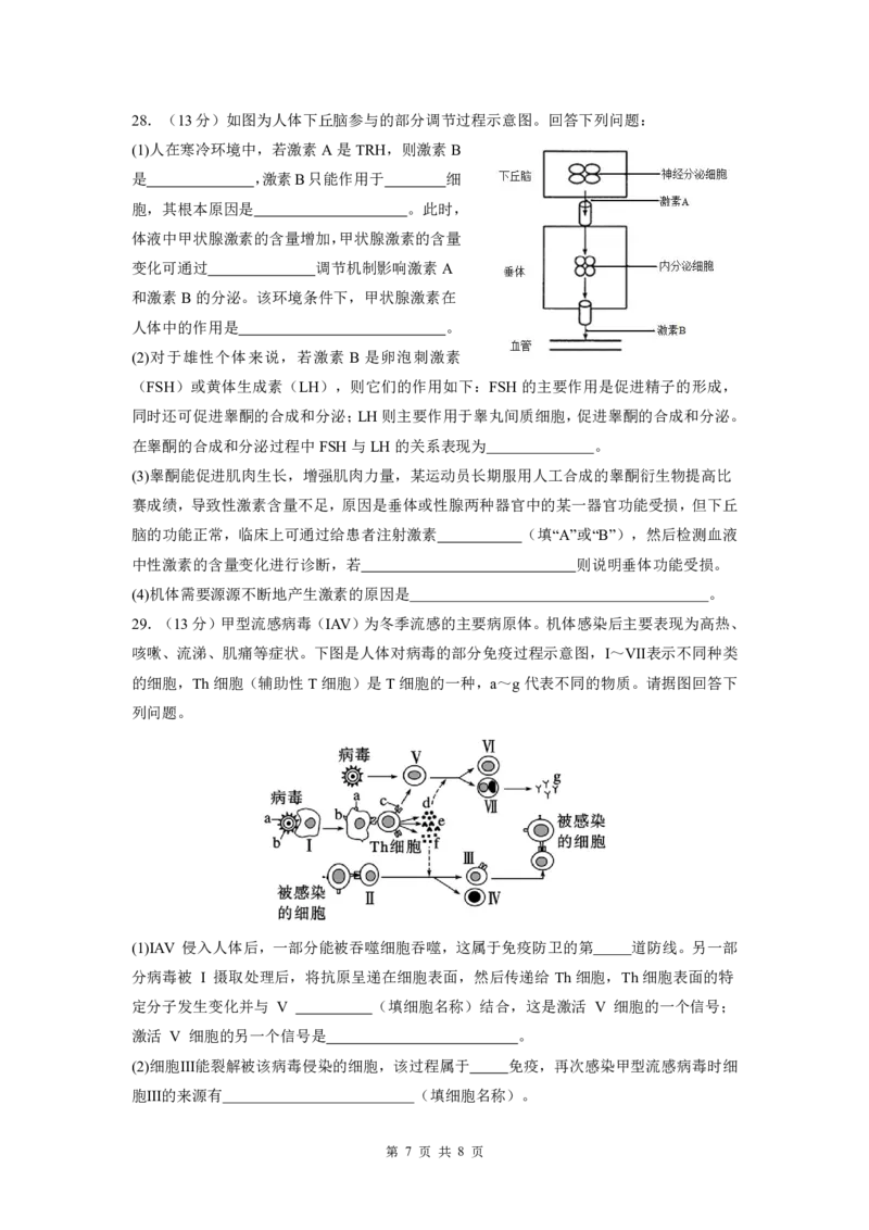 生物试题_2024-2025高二（7-7月题库）_2024年11月试卷_1112四川省绵阳市南山中学2024-2025学年高二上学期期中考试_四川省绵阳市南山中学2024-2025学年高二上学期期中考试生物试题PDF版含答案