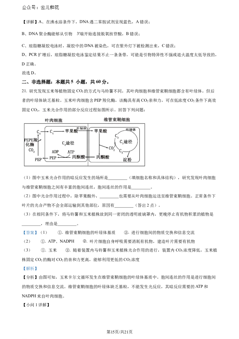 精品解析：陕西省汉中市2023-2024学年高二下学期期末考试生物试题（解析版）_2024-2025高二（7-7月题库）_2024年07月试卷_0721陕西省汉中市2023-2024学年高二下学期7月期末考试(金太阳587B)