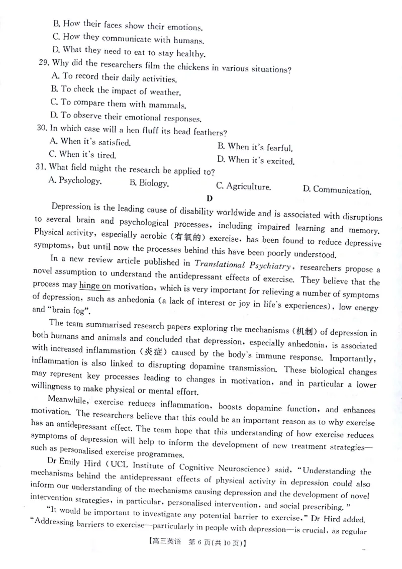 英语试题_2024-2025高三（6-6月题库）_2024年11月试卷_1116金太阳2025届高三11月期中百万联考2001C（甘青宁）（全科）_金太阳2025届高三11月期中百万联考2001C（甘青宁）英语试题